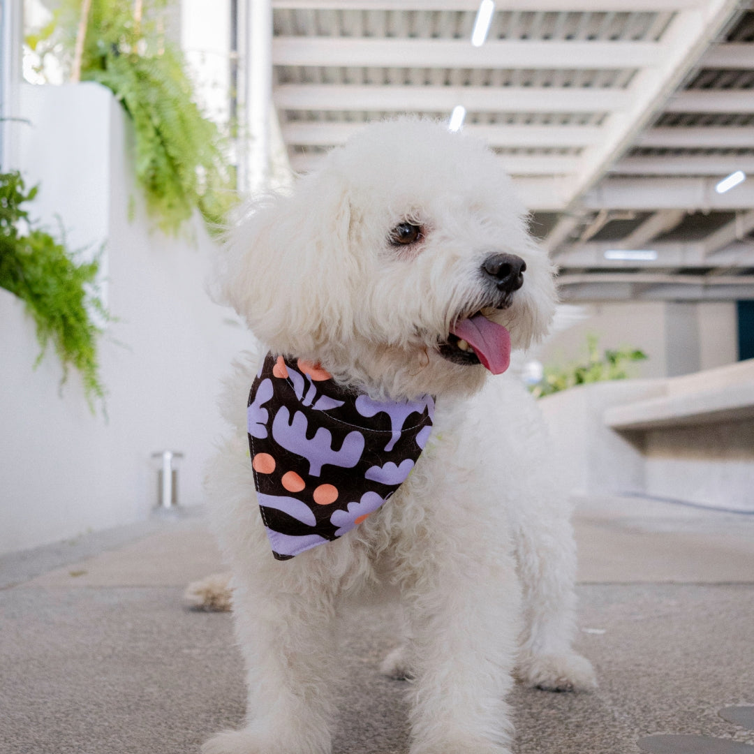 Bandana Garden Negro