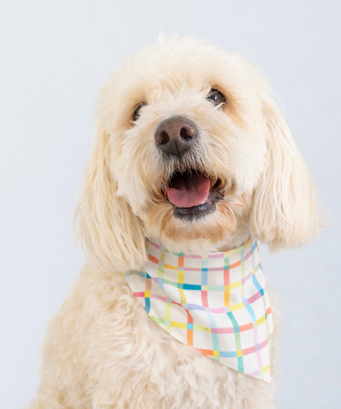 Bandana Candy Plaid