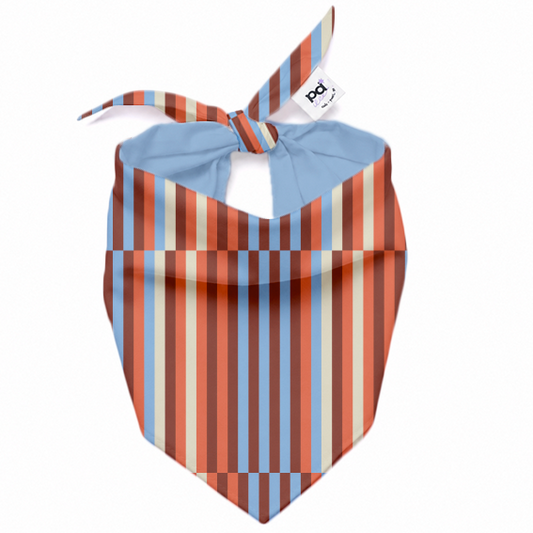 Bandana Festival Stripes