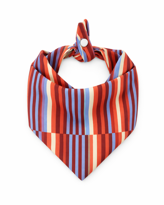 Bandana Festival Stripes