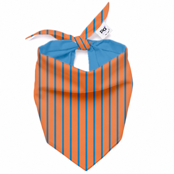 Bandana Sunset Stripe