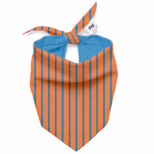 Bandana Sunset Stripe