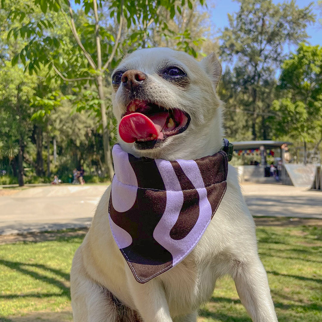 Bandana Wild Morada